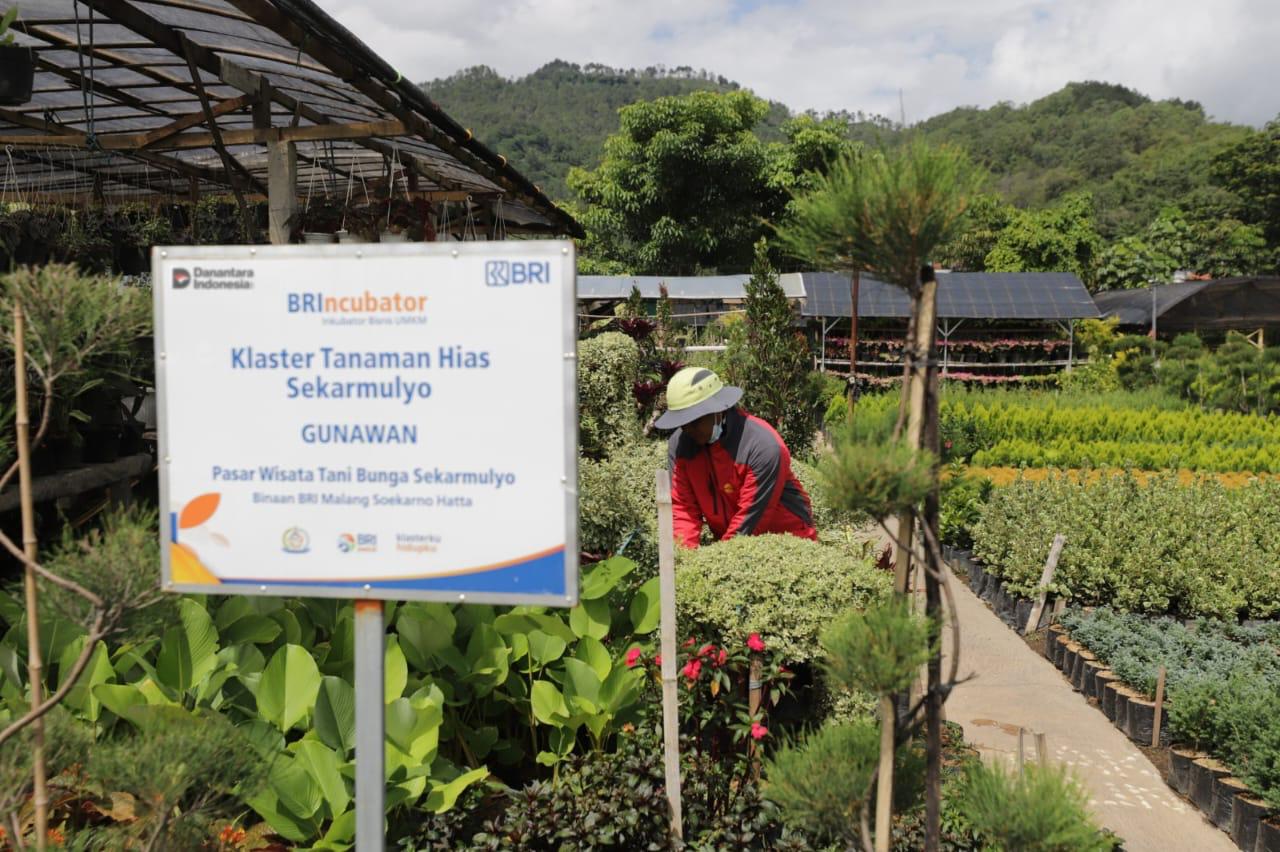 BRI Berdayakan 41 Ribu Klaster Usaha melalui Pembiayaan dan Literasi Keuangan