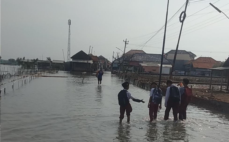 2.100 KK di Brebes Terdampak Banjir Rob