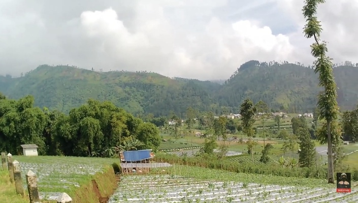 Permata Hijau Desa Sigedong Bumijawa yang Menyimpan Pesona Alam Luar Biasa