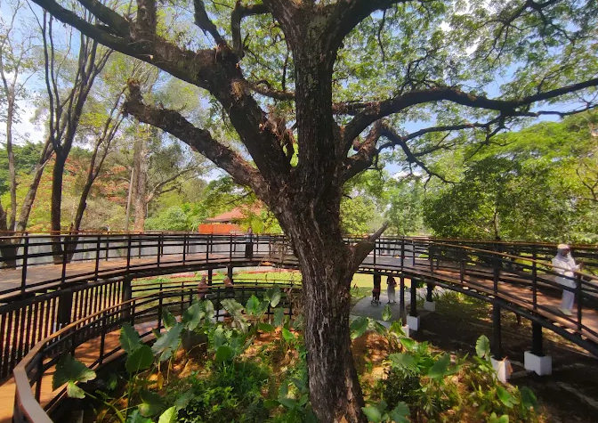 10 Wisata Keluarga Murah di Solo Raya, Seru dan Edukatif untuk Anak