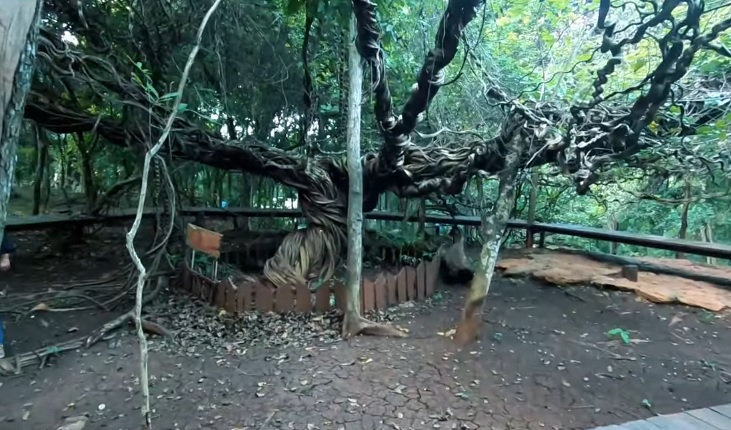 5 Hidden Gems di Lamongan dengan Nuansa Antimainstream