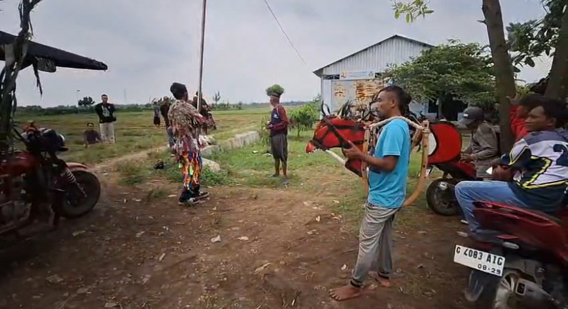 Cara Unik Petani di Bulusari Usir Hama Tikus di Lahan Persawahan dengan Jaran Lumping