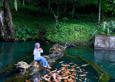 5 Kolam Renang Murah di Wonosobo: Indah, Menyegarkan dan Tersembunyi