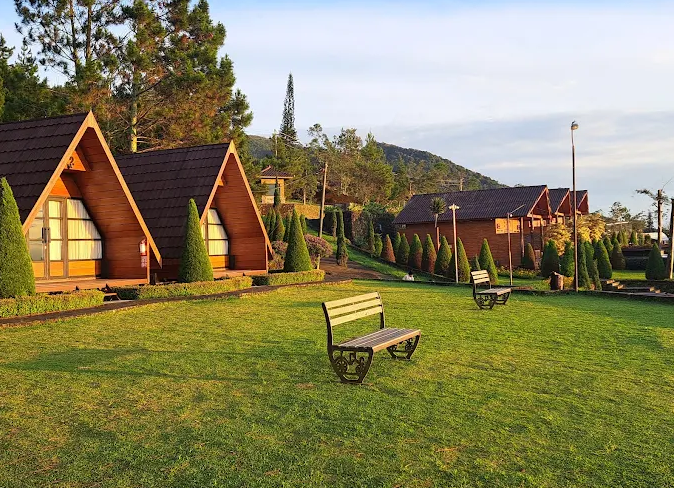 Daftar Outbound Anak di Semarang: Edupark, Camping, dan Wisata Alam Terpopuler