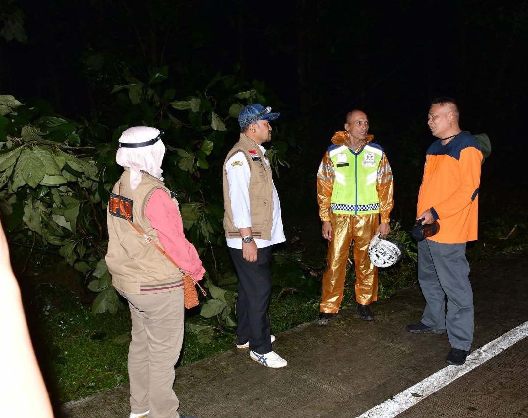 Sempat Macet Akibat Pohon Tumbang, Bupati Pastikan Jalan Bantarbolang–Pemalang Sudah Normal Kembali