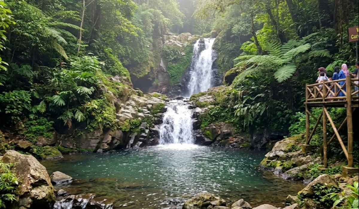 Daftar Curug Cantik di Pemalang, Pesona Air Terjun Hidden Gem Jawa Tengah