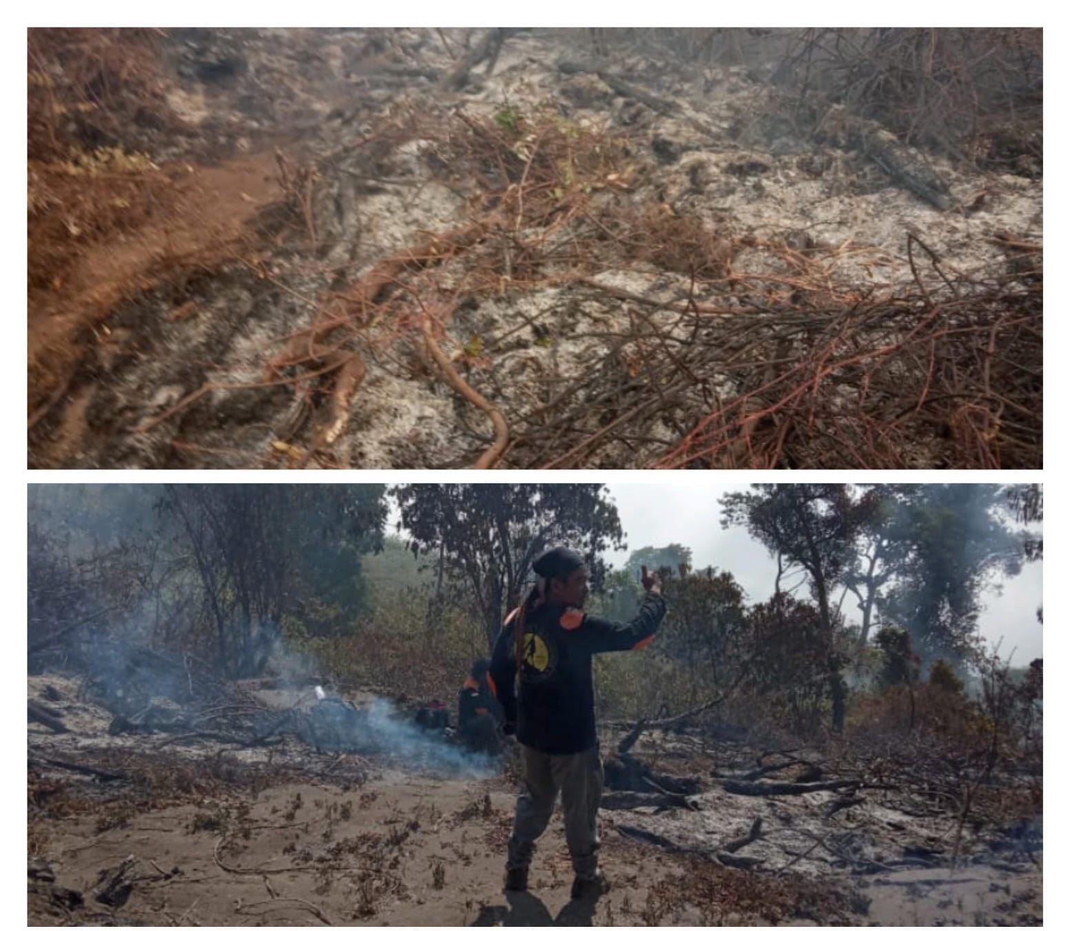 Hutan di Gunung Slamet Kabupaten Tegal Kebakaran, 42 Orang Dikerahkan untuk Padamkan Api 