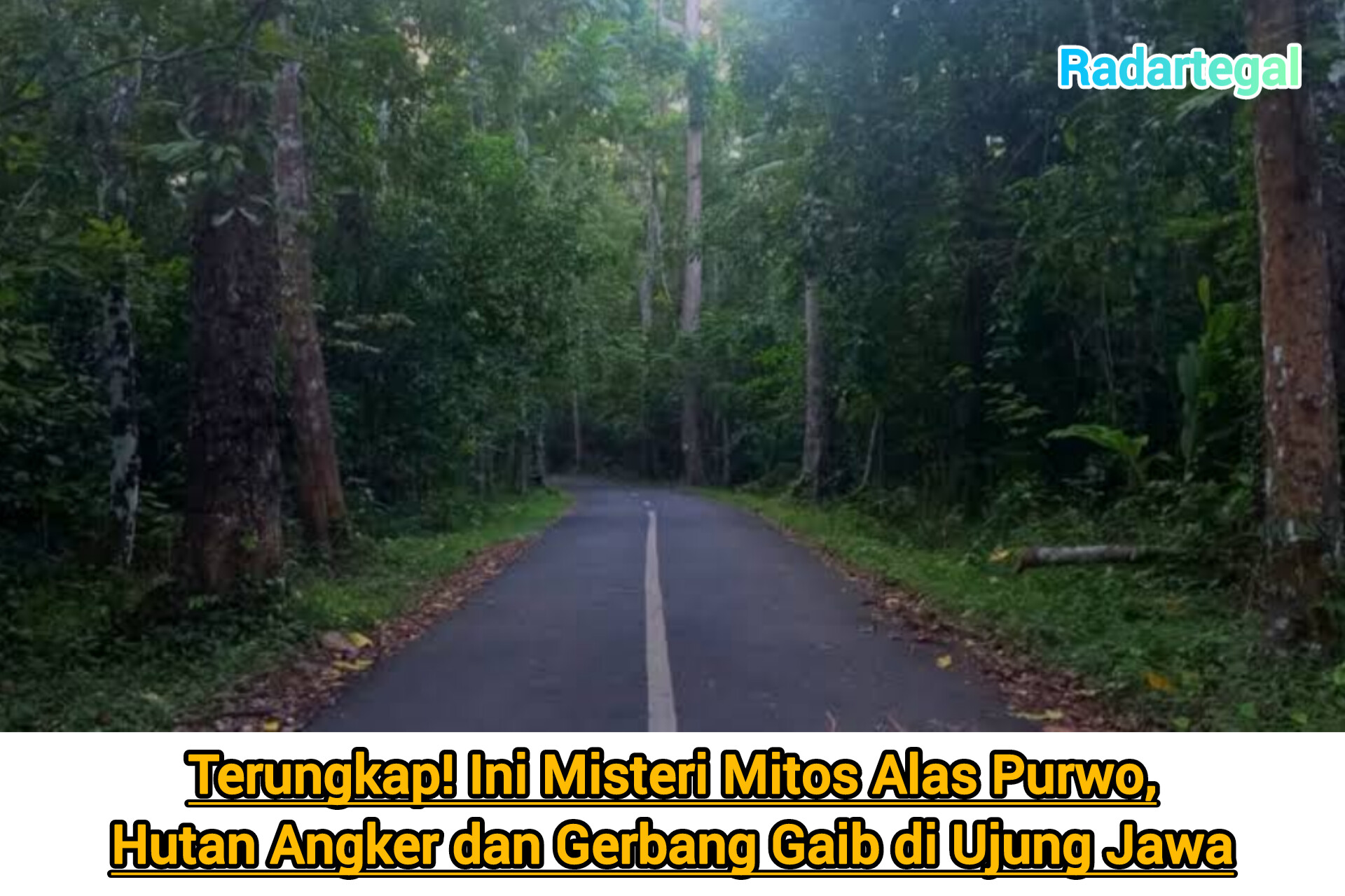 Terungkap! Ini Misteri Mitos Alas Purwo, Hutan Angker dan Gerbang Gaib di Ujung Jawa