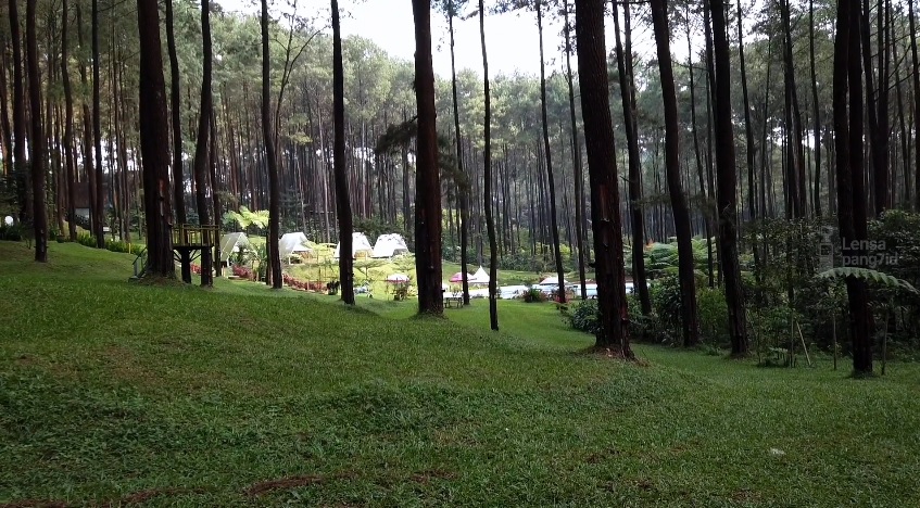 5 Tempat Wisata Tegal Buat Kaum Introvert: Ketenangan di Alam dan Sejarah