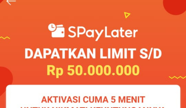 Apakah Shopee PayLater Punya DC Lapangan? Simak Informasi Berikut Jika Ingin Galbay