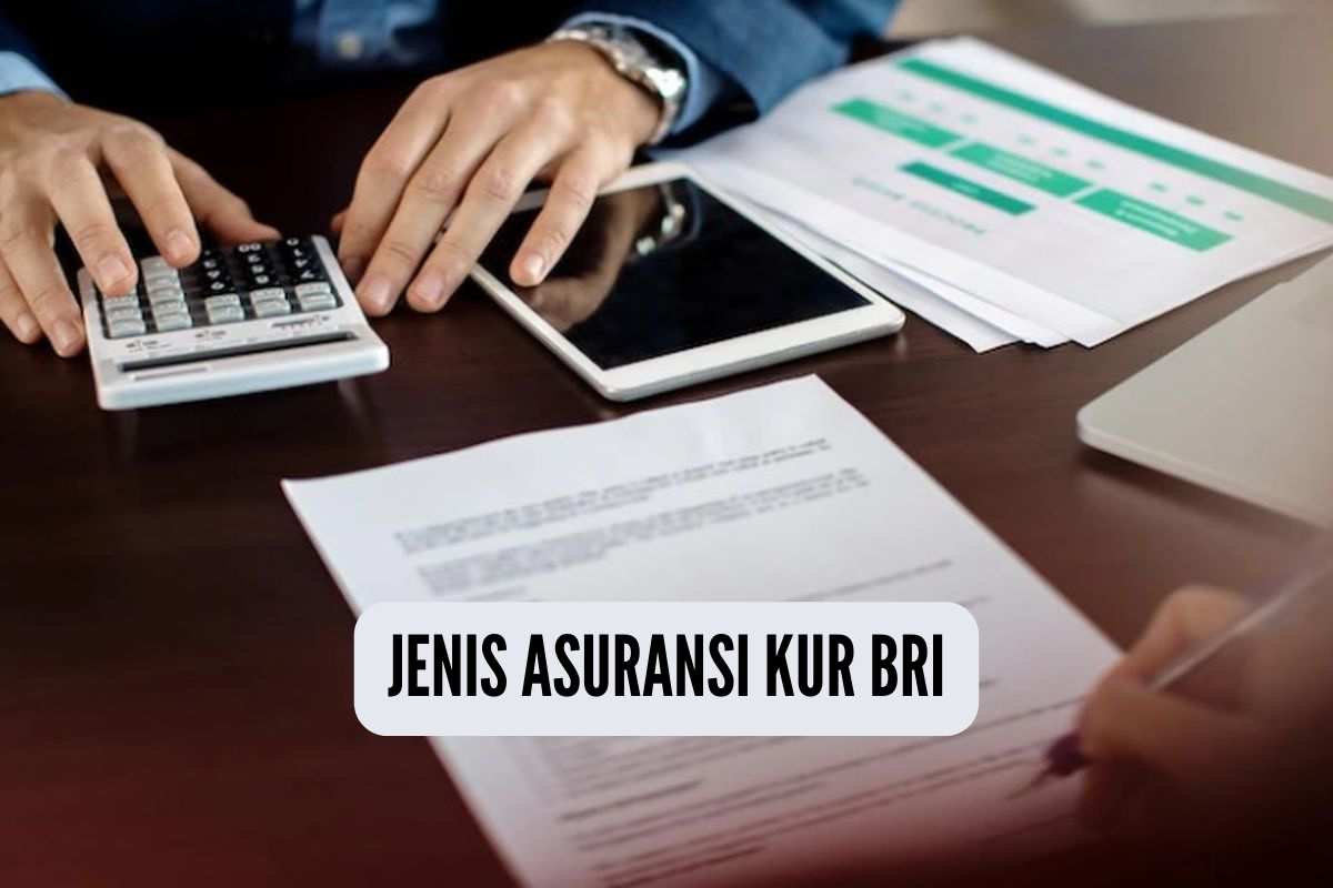 Rekomendasi 4 Asuransi KUR BRI, Bisa Dicairkan Mulai Umur 17 Tahun