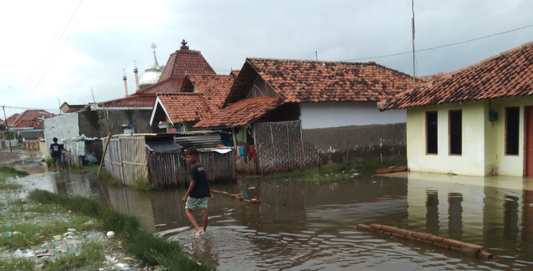 Banjir Rob Rendam Ribuan Rumah di Losari Brebes