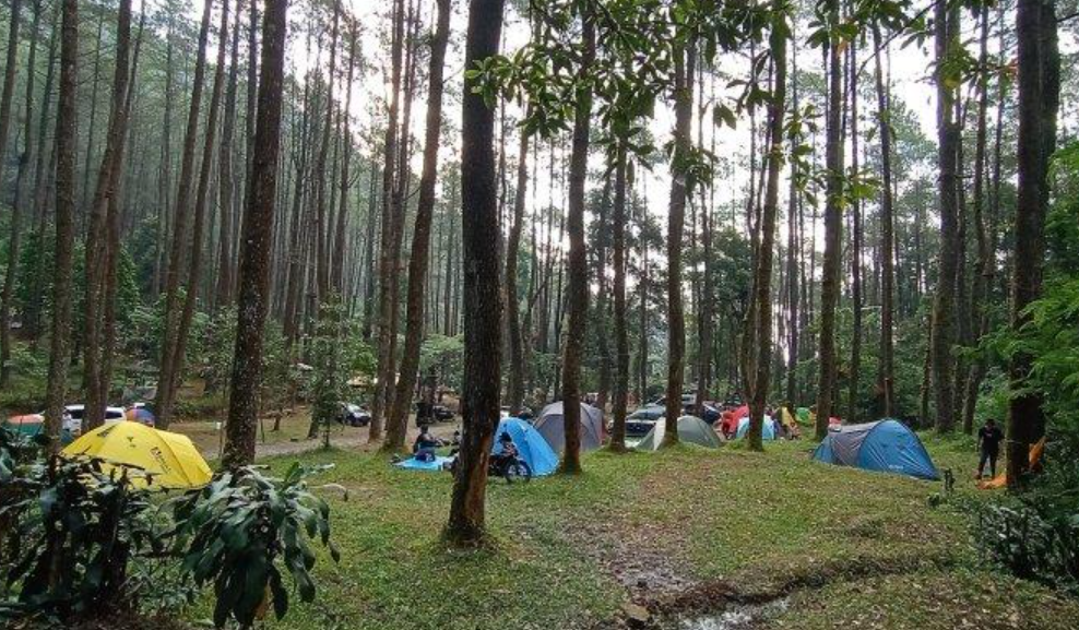 6 Tempat Camping Seru di Jawa Tengah yang Ramah Kantong
