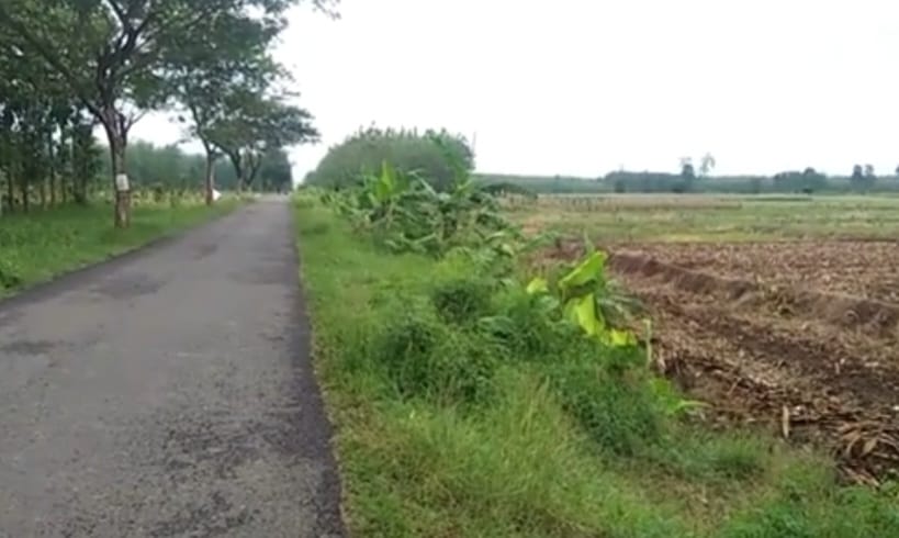 Bandara di Tegal Ternyata Pernah Ada, Jumlahnya Bukan Satu Tapi Dua