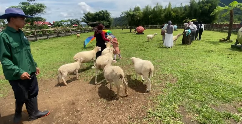 7 Wisata Keluarga Hits di Purwokerto Wajib Disinggahi 2025