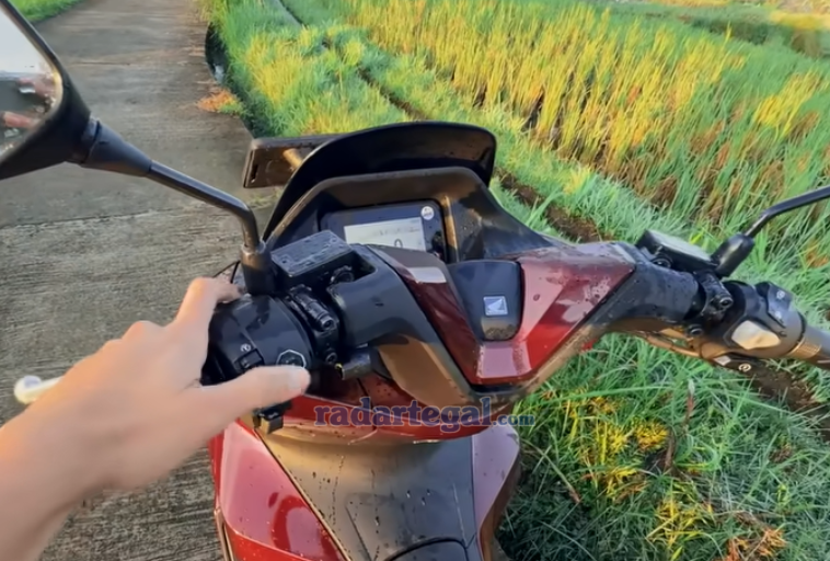 Jangan sampai Dianggurin Gaes! Fitur Honda PCX 160 Roadsync 2025 Bikin Skutik Bongsor Ini Tambah Canggih