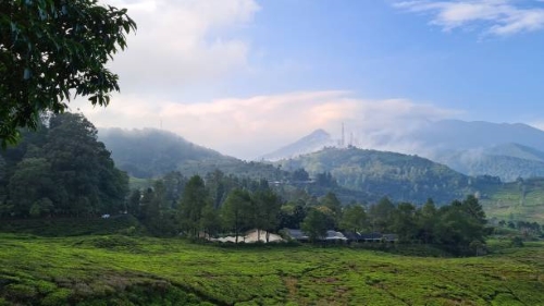 Mitos Seputar Puncak Bogor, Namun Banyak Fakta Juga yang Terdapat Didalamnya