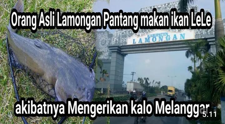 Mitos Masyarakat Lamongan, Dilarang Makan Ikan Lele Kalau Tak Ingin Hal Ini Terjadi