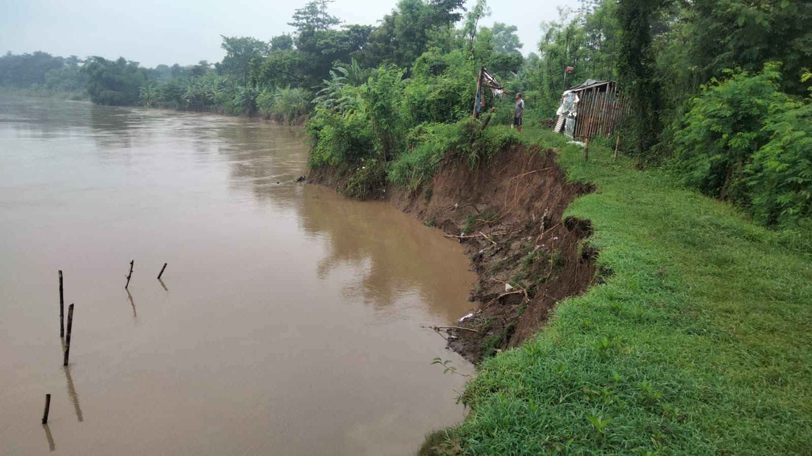 Pasca Banjir di Brebes, Sejumlah Tanggul di Sungai Pemali Kritis