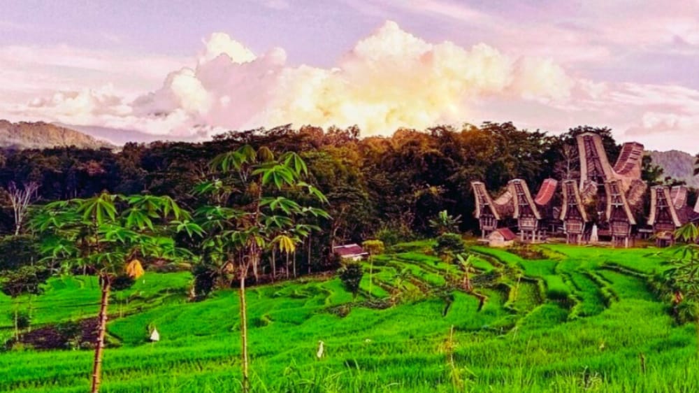 Masih Kental dengan Adat Istiadatnya, Desa Kete Kesu Terkenal dengan Pemakaman Adat Toraja