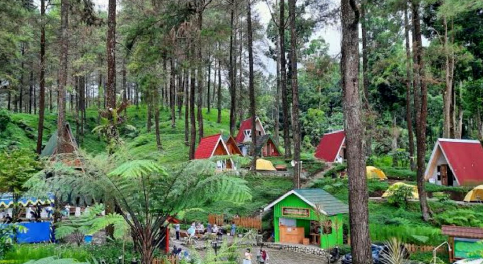 Cari Ketenangan? Eksplor 5 Tempat Wisata Sejuk dan Sepi di Sekitar Brebes Ini, Cocok untuk Melepas Penat