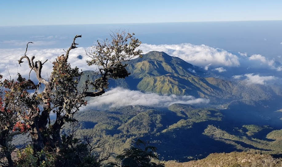 6 Rekomendasi Wisata Gunung di Jawa Tengah, Cocok Buat Libur Nataru 2025