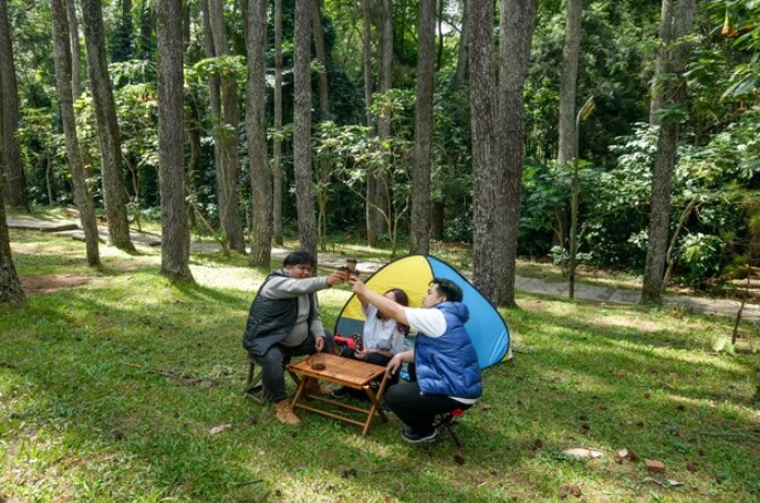 3 Camping Ground di Hutan Pinus Jawa Tengah Favorit Keluarga