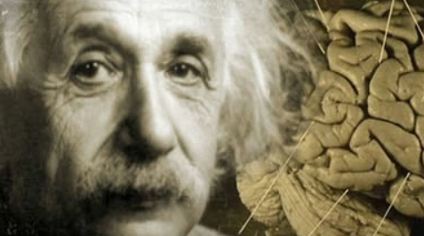 Fakta Pencurian Otak Albert Einstein: Kini Tersimpan di Museum Mutter