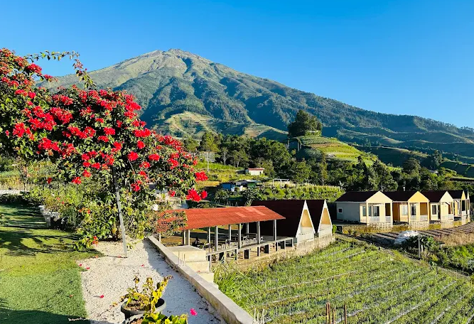 8 Wisata Murah di Magelang yang Lebih Indah dari Borobudur 2025