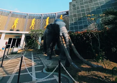 8 Wisata Edukasi di Tegal Terpopuler 2025, Cocok untuk Belajar Anak