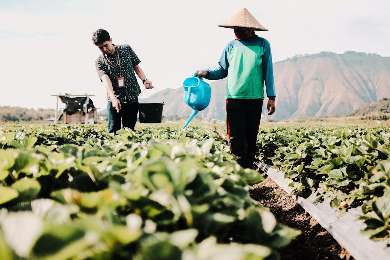 Terapkan Prinsip ESG untuk Bisnis Berkelanjutan, BRI Tegaskan Komitmennya dalam Lingkungan 