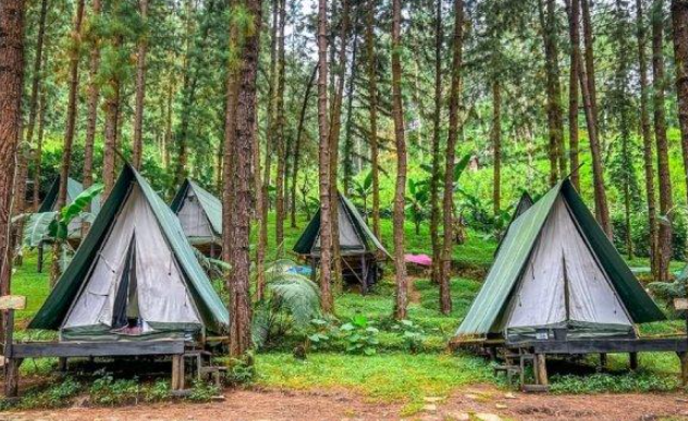 5 Rekomendasi Glamping Terbaik untuk Nikmati Pesona Gunung Slamet