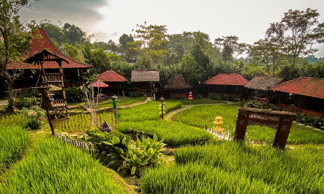 Deretan Tempat Ngopi dengan View Sawah di Tegal yang Bikin Mood Naik