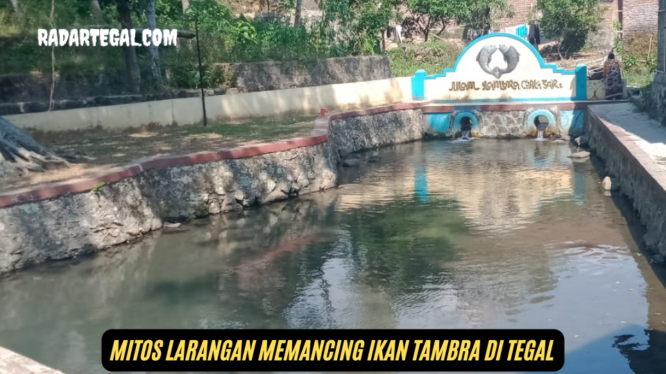 Jarang Diketahui, Mitos Larangan Memancing Ikan Tambra di Tegal