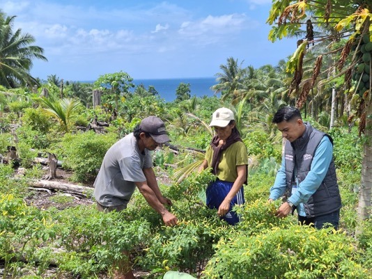 Mantri BRI Hadir di Tengah Bentang Kepulauan Talaud, Gerakkan Denyut Nadi Perekonomian 