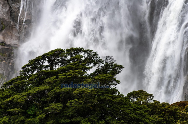 5 Curug Terindah di Pekalongan yang Wajib Dikunjungi Wisatawan Alam