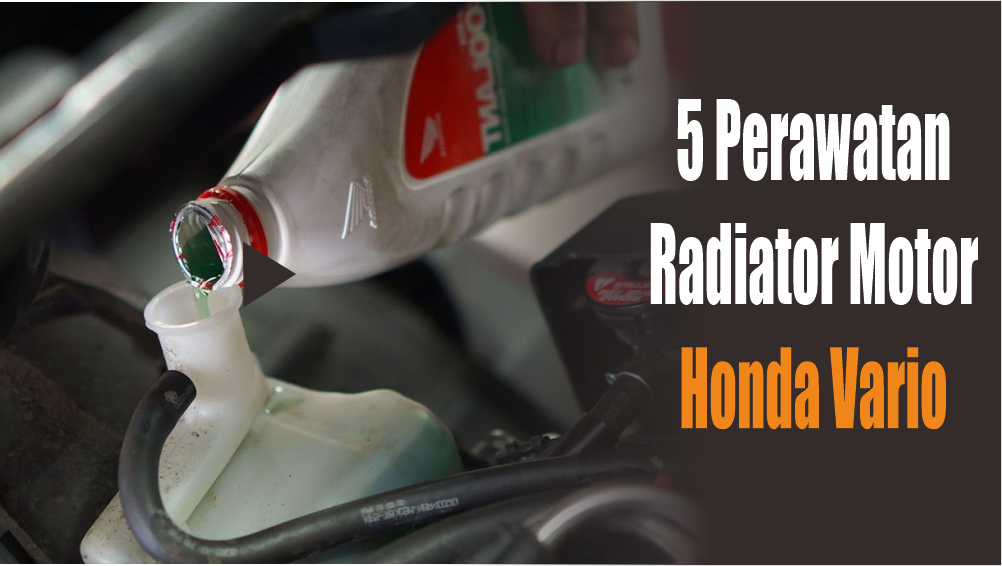 5 Cara Merawat Air Radiator Motor Vario Paling Gampang dan Simpel, Mesin Tetap Stabil Tidak Overheat