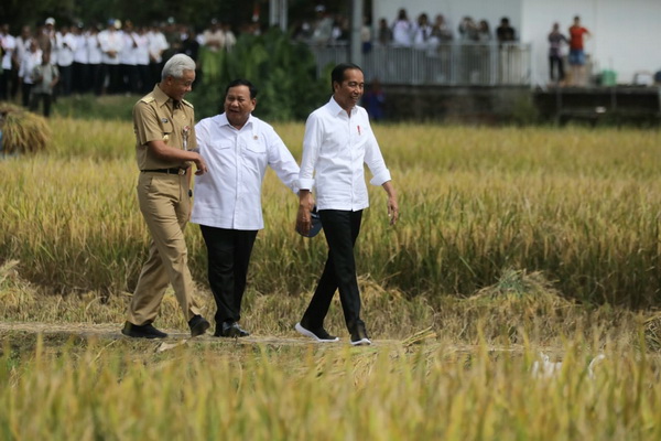 Dampingi Presiden Tinjau Panen Raya di Kebumen, Ganjar Dukung Indonesia Jadi Lumbung Pangan Dunia 