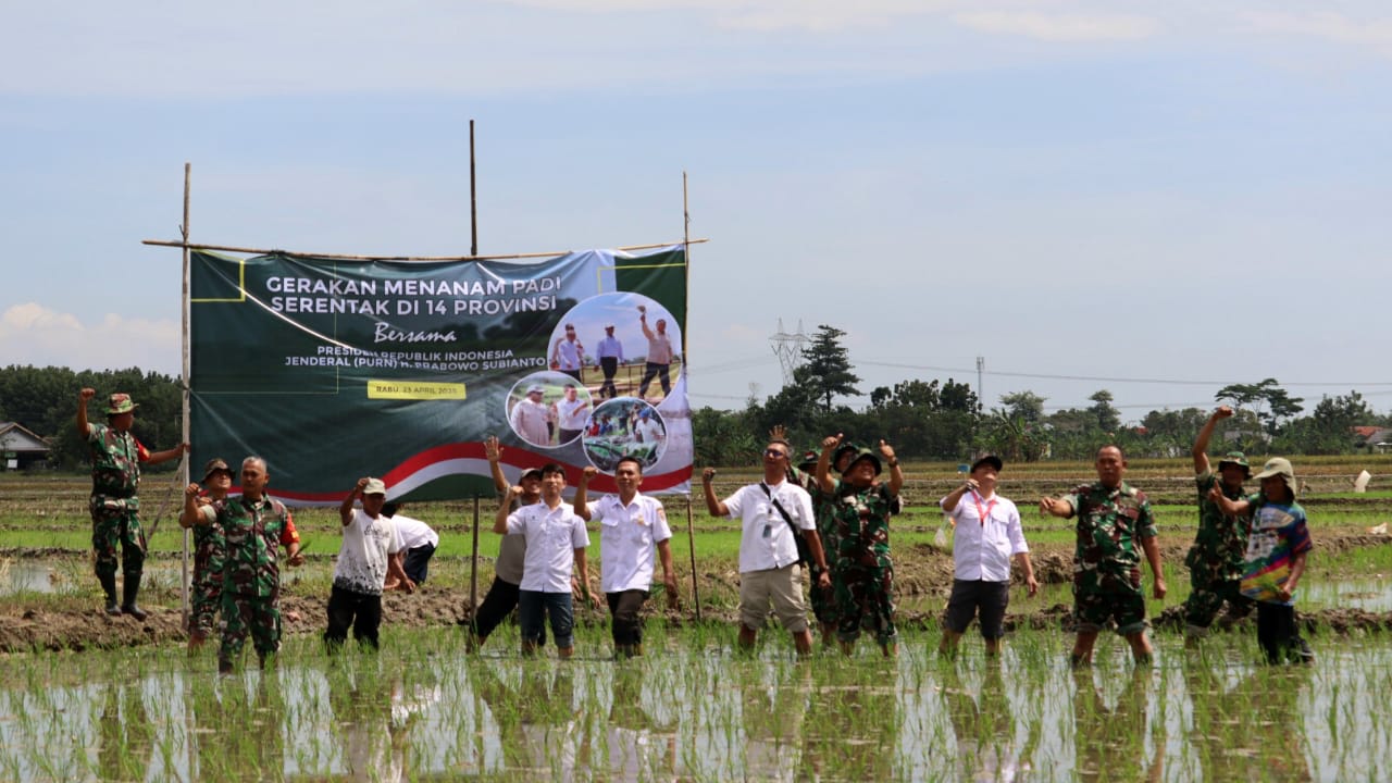 Kodim Pemalang dan Dispertan Ikut Gerakan Tanam Padi Serentak