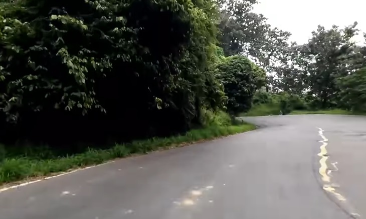 Sejarah Kelam dan Mitos Hutan Alas Roban yang Legendaris