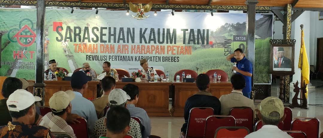 HKTI Sebut 2 Permasalahan Ini Jadi Masalah Utama yang Dihadapi Petani Bawang Merah