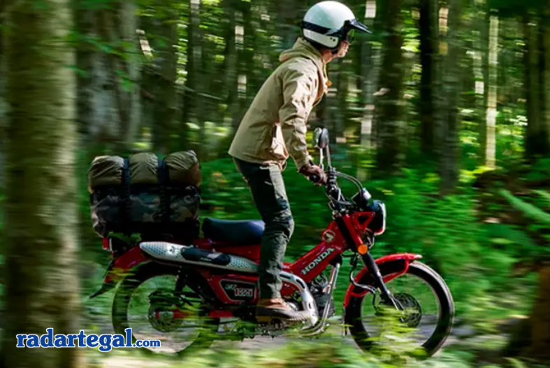 Honda CT125, Motor Bebek Termahal di Indonesia 2025 yang Tembus Hampir 100 Juta