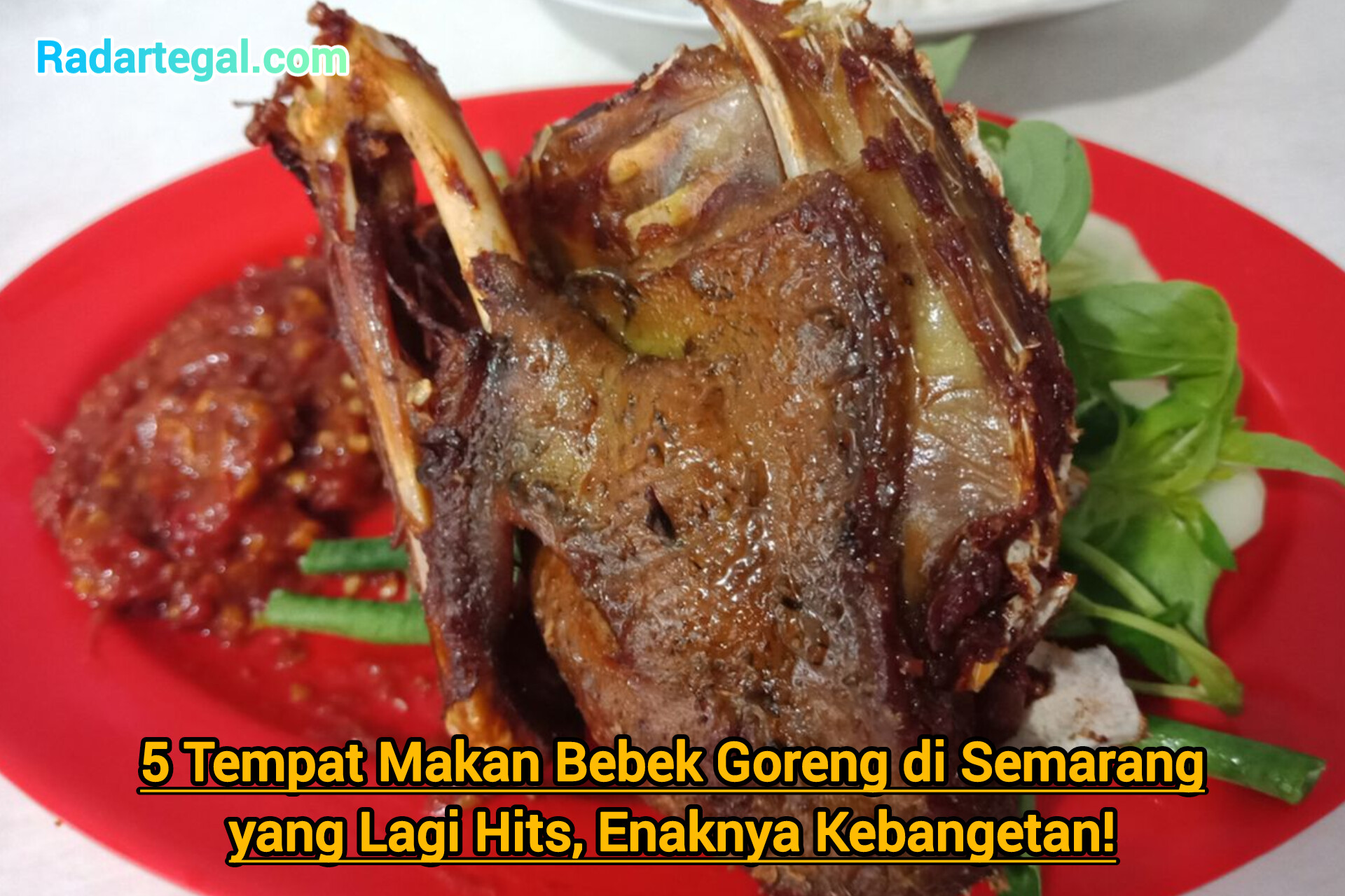 5 Tempat Makan Bebek Goreng di Semarang yang Lagi Hits, Enaknya Kebangetan!