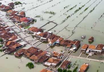 Asa Warga Desa Timbulsloko Jawa Tengah, Kawasan yang Kini Tenggelam Akibat Perubahan Iklim