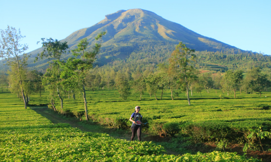 5 Tempat Wisata Jawa Tengah yang Sejuk, Perfect Buat Healing dari Panasnya Kota!