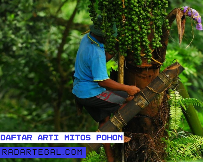 8 Mitos Pohon yang Dipercaya Jadi Sarang Setan, Konon Ada Pocong dan Kuntilanaknya