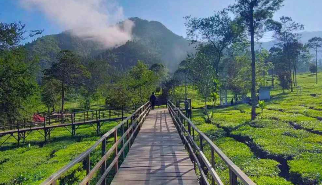 5 Wisata Alam Menarik di Wonosobo yang Wajib Dikunjungi, Ada Danau Vulkanik yang Mempesona!