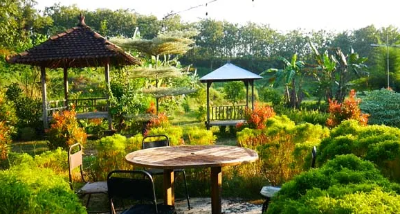 10+ Wisata di Jepara Selain Pantai yang Bikin Liburanmu Asyik!