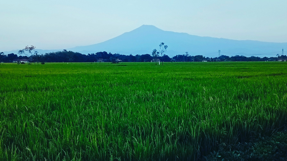 Menarik! Ini Asal-Usul Nama Gunung Slamet yang Menjadi Gunung Tertinggi Kedua di Pulau Jawa