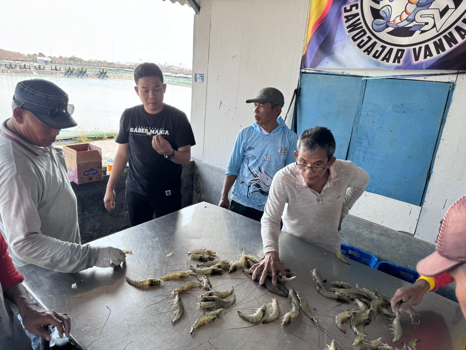 Cuaca Ekstrem di Brebes Melanda, Pertumbuhan Benur Jadi Terganggu